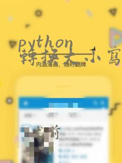 python 转换大小写函数