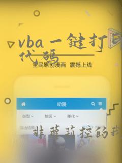 vba一键打印代码