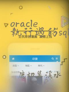 oracle 执行过的sql