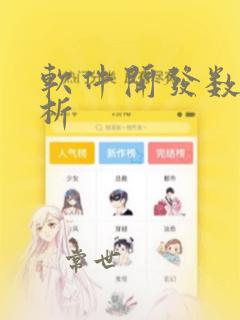 软件开发数据分析