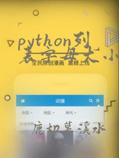 python列表字母大小写转换