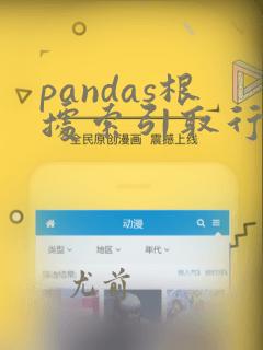 pandas根据索引取行