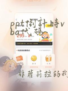 ppt倒计时vba代码