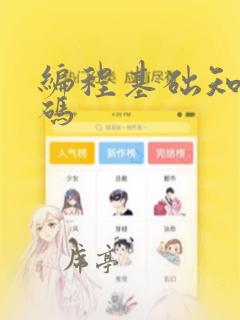 编程基础知识代码