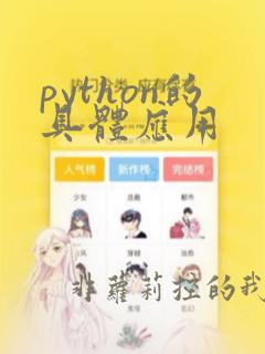 python的具体应用