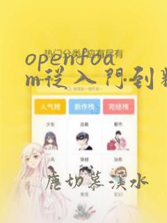 openfoam从入门到精通pdf