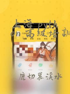 上海 python 高级培训班
