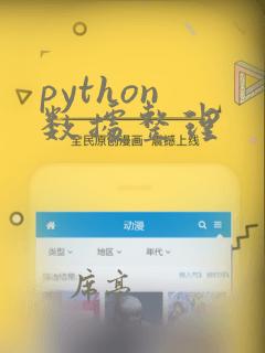 python 数据整理