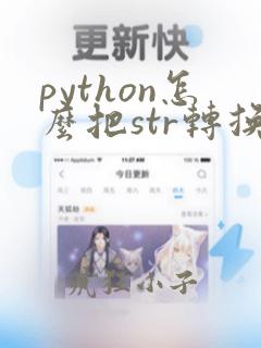 python怎么把str转换成float