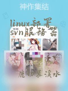 linux部署svn服务器