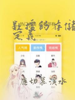 数据的存储结构定义