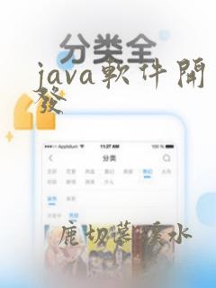java软件开发