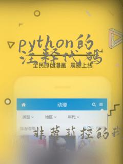 python的注释代码