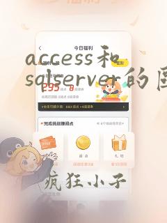 access和sqlserver的区别