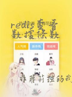 redis查看数据条数