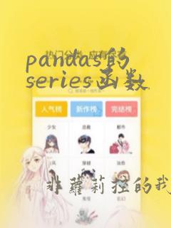 pandas的series函数