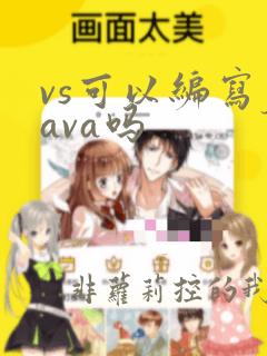 vs可以编写java吗