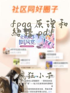fpga原理和结构 pdf
