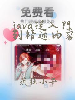 java从入门到精通内容