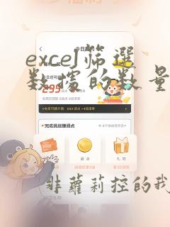 excel筛选数据的数量统计