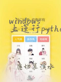 windows上运行python