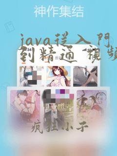 java从入门到精通 视频