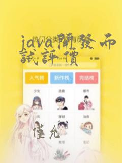 java开发面试评价