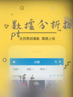 数据分析总结ppt