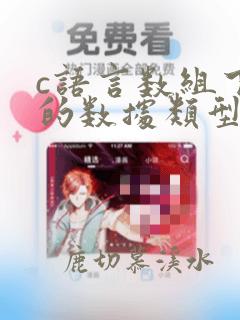 c语言数组下标的数据类型