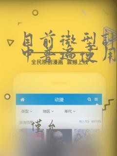 目前微型计算机中普遍使用的字符编码是