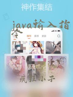java输入指令