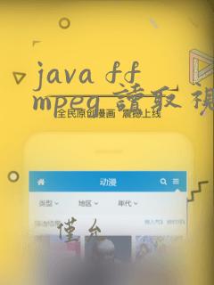 java ffmpeg 读取视频中的sei数据
