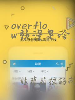 overflow动漫是啥