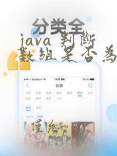 java 判断数组是否为空