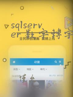 sqlserver 数字转字符