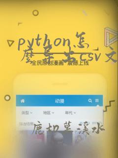 python怎么导出csv文件