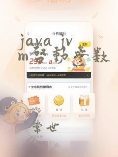 java jvm启动参数