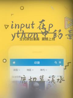 input在python中的意思
