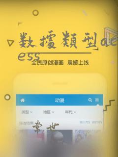 数据类型access