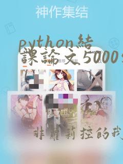 python结课论文5000字