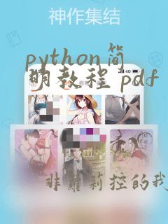python简明教程 pdf