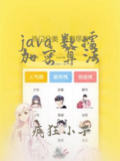 java 数据加密算法