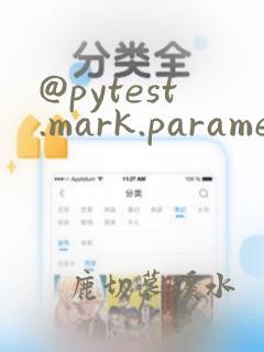 @pytest.mark.parametrize()