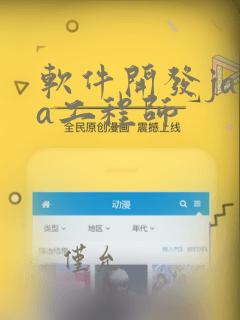 软件开发java工程师