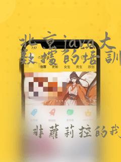 北京java大数据的培训课程
