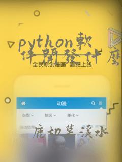 python软件开发什么