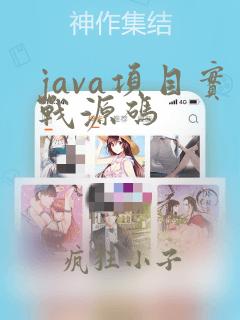 java项目实战源码