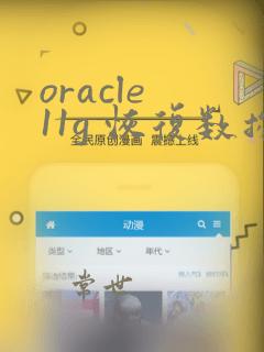 oracle 11g 恢复数据
