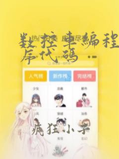 数控车编程宏程序代码