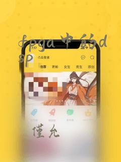 fpga中的dsp
